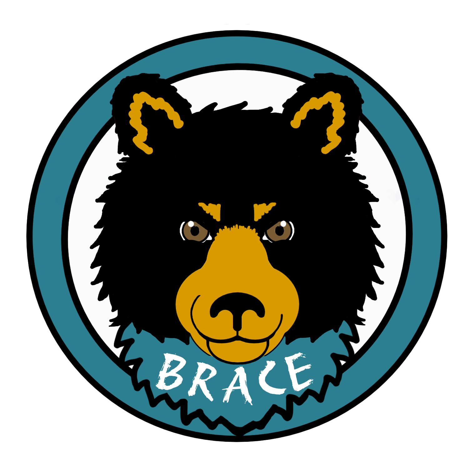 BRACE logo